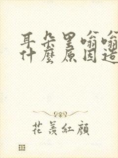 耳朵里嗡嗡响是什么原因造成的