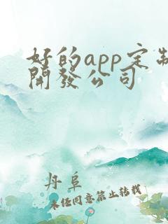 好的app定制开发公司