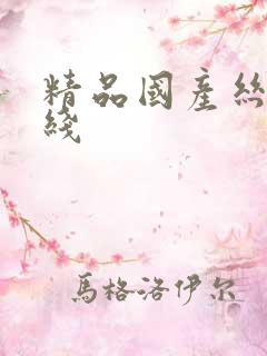 精品国产丝袜在线