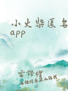 小火柴匿名聊天app