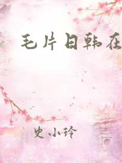 毛片日韩在线