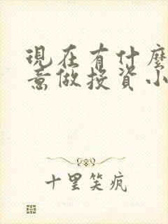 现在有什么好生意做投资小的