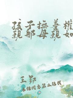 孩子抚养权在父亲那母亲如何要回