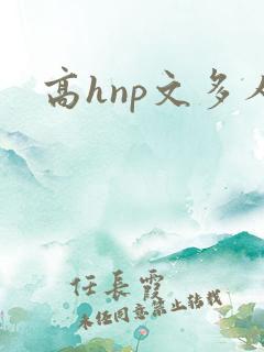 高hnp文多人