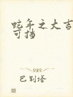 蛇年之大吉婚不可挡