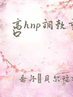 高hnp调教重口