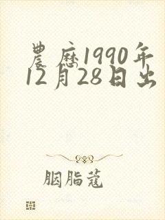 农历1990年12月28日出生算命