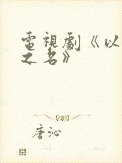 电视剧《以家人之名》