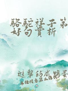骆驼祥子第1章好句赏析