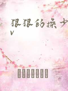狠狠的操少妇av