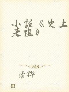 小说《史上最狂老祖》