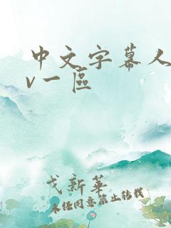 中文字幕人妻av一区