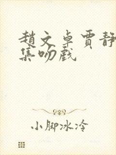 赵文卓贾静雯合集吻戏
