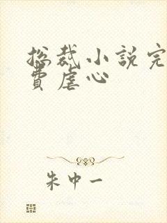 总裁小说完结免费虐心