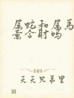 属蛇和属马做生意合财吗