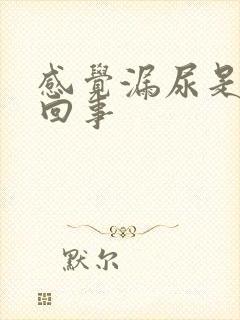 感觉漏尿是怎样回事