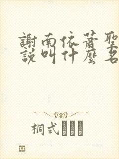 谢南依萧圣瑜小说叫什么名字