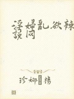 淫妇乱欲辣文小说网