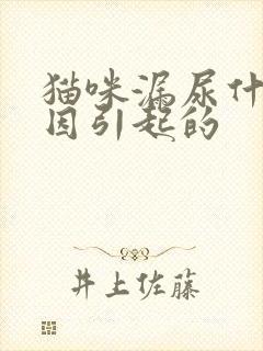 猫咪漏尿什么原因引起的