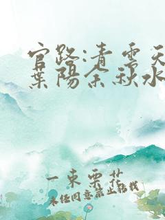 官路:青云天骄叶阳余秋水全文
