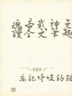 魂帝武神免费阅读全文笔趣阁