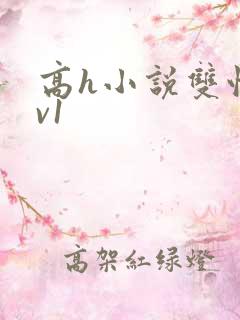 高h小说双性1v1