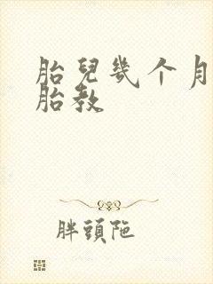 胎儿几个月进行胎教