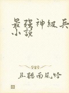 最强神级兵王 小说