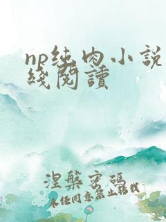 np纯肉小说在线阅读