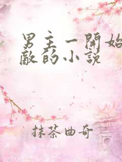 男主一开始就无敌的小说