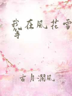 我在风花雪月里等