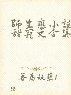 师生恋小说言情甜宠文合集