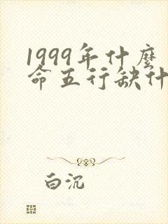 1999年什么命五行缺什么