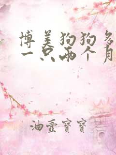 博美狗狗多少钱一只两个月