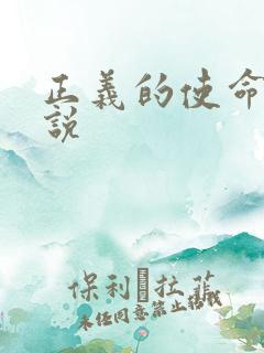正义的使命 小说