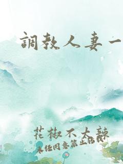 调教人妻一区