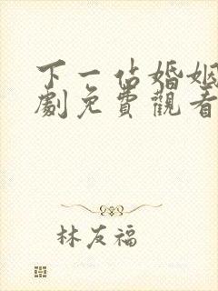 下一站婚姻电视剧免费观看完整版