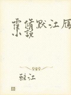 霍修默江雁声的小说
