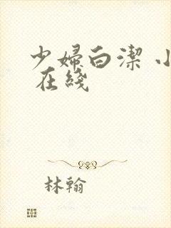 少妇白洁 小说 在线