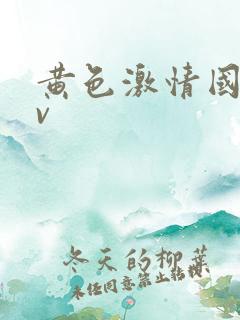 黄色激情国产av