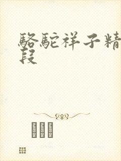 骆驼祥子精彩文段