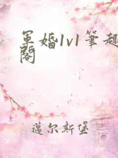 军婚1v1笔趣阁