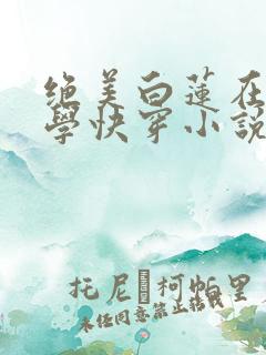 绝美白莲在线教学快穿小说