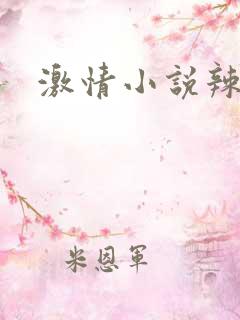 激情小说辣文