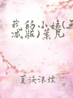 我的小姨(无删减版)叶凡