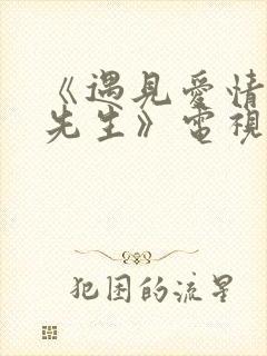 《遇见爱情的利先生》电视剧