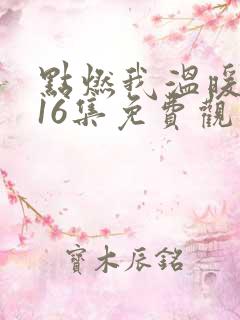点燃我温暖你第16集免费观看