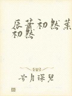 辰萧初然叶辰萧初然