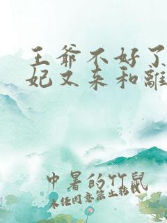 王爷不好了,王妃又来和离了免费阅读