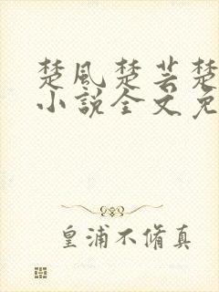 楚风楚芸楚鸿飞小说全文免费阅读修罗武神
